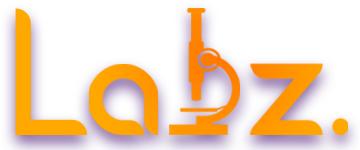 Labz Marketing - Agência Digital